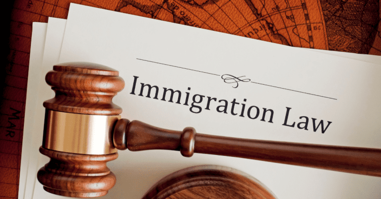 The Role of Legal Assistance in Immigration Processes